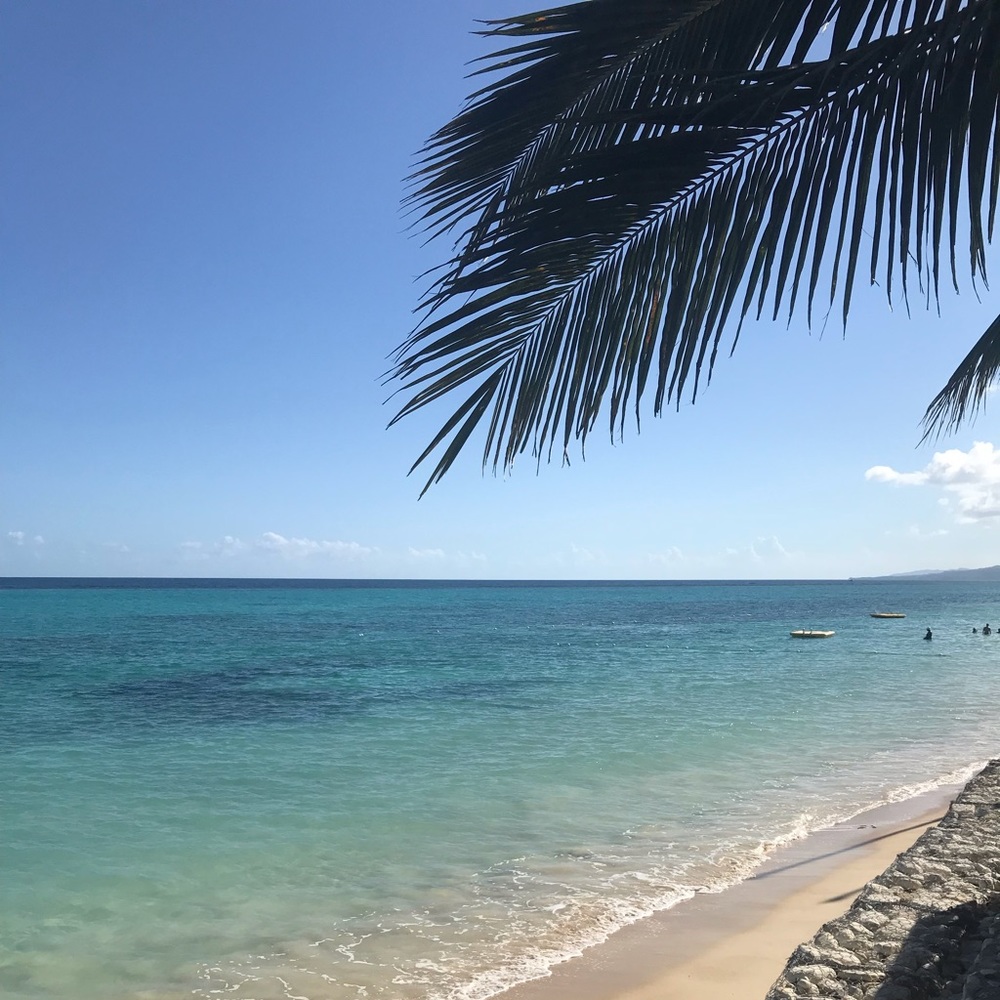 Meet your Posher, Vivian